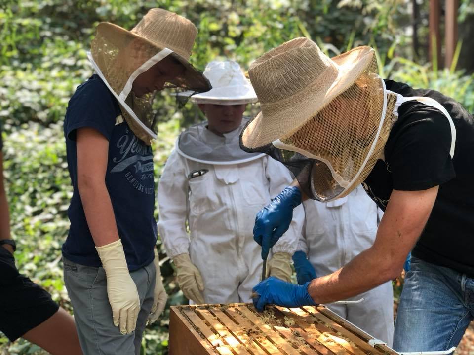 Beekeeping%202.JPG