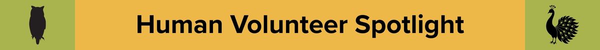 Volunteer%20Spotlight%20Header.jpg